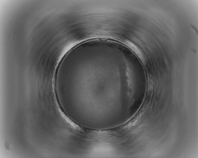 X0000091180958200708161515
