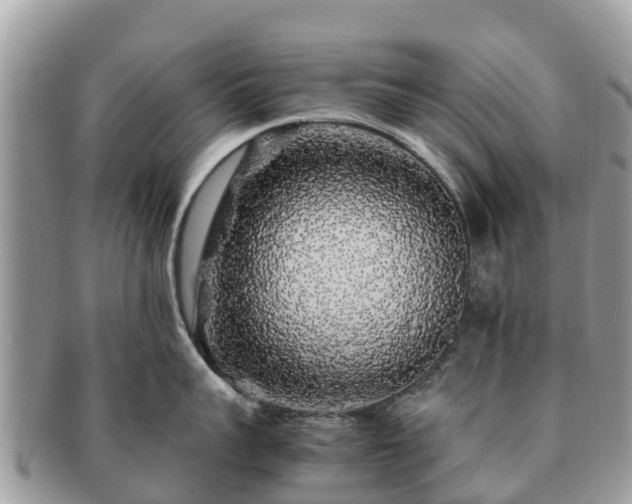 X0000091180959200708161515