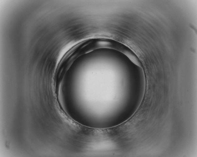 X0000091180960200708161515