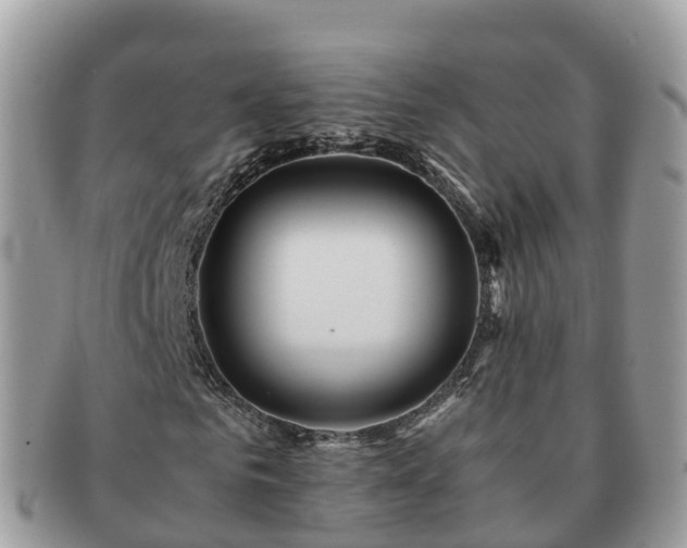 X0000091180961200708161515