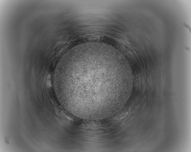 X0000091180962200708161515