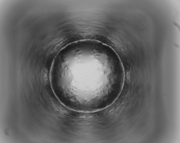X0000091180963200708161515