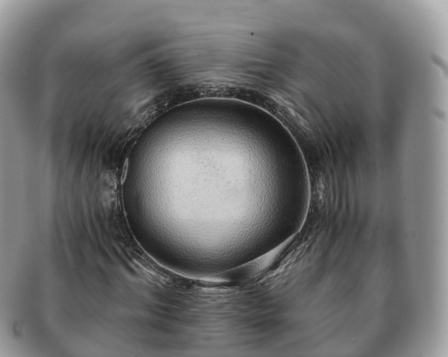 X0000091180964200708161515