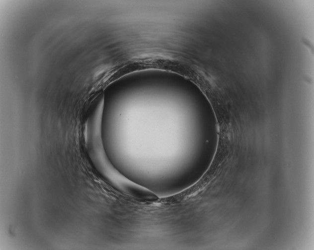 X0000091180965200708161515