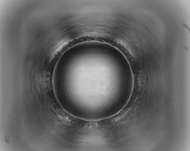 X0000091180968200708161515