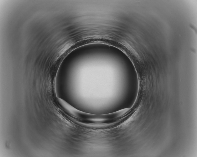 X0000091180969200708161515