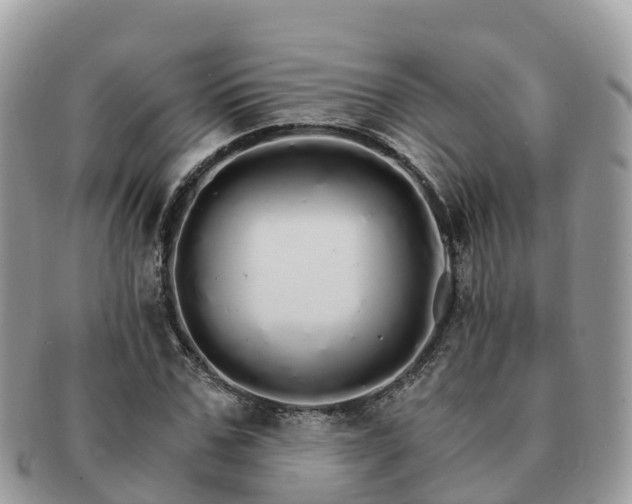 X0000091180971200708161515