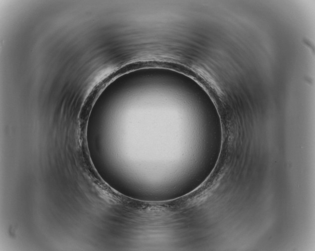 X0000091180974200708161515