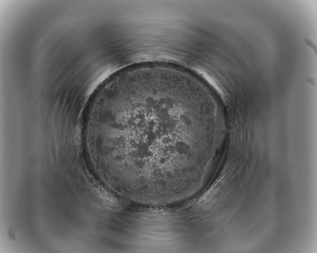 X0000091180975200708161515