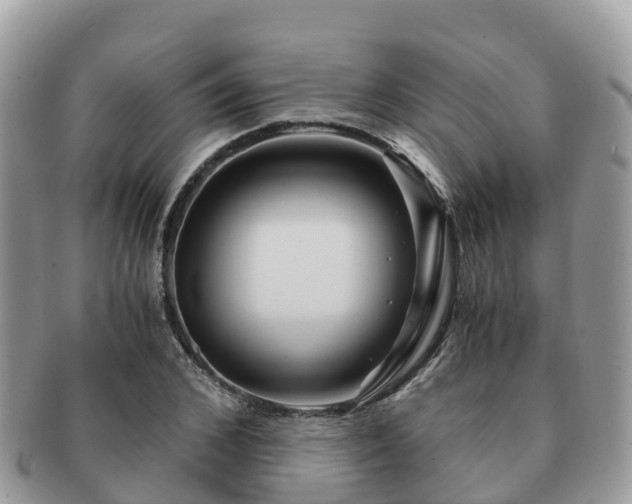 X0000091180976200708161515
