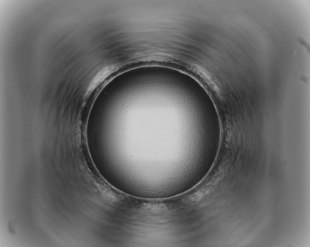 X0000091180978200708161515