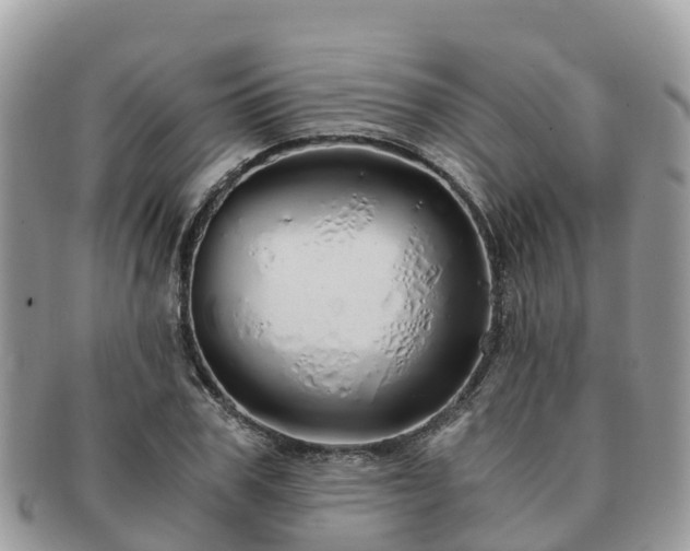 X0000091180979200708161515