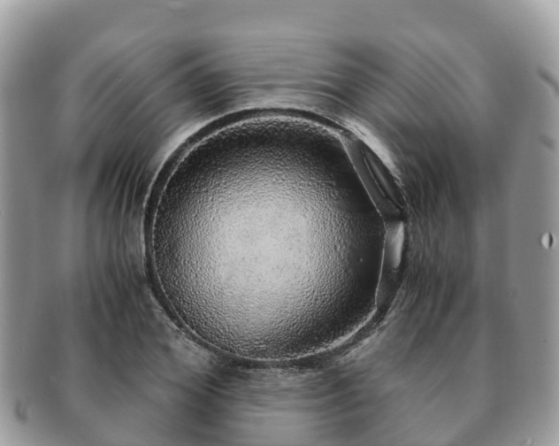 X0000091180980200708161515
