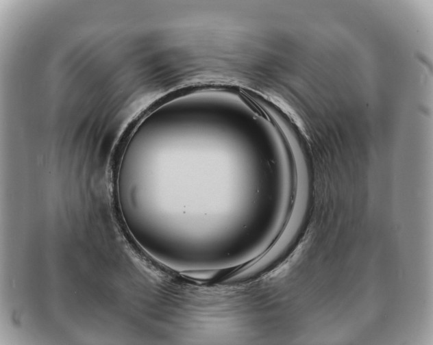 X0000091180981200708161515