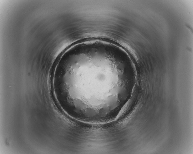X0000091180983200708161515