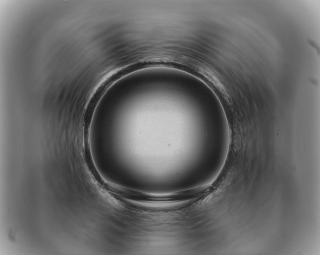 X0000091180984200708161515