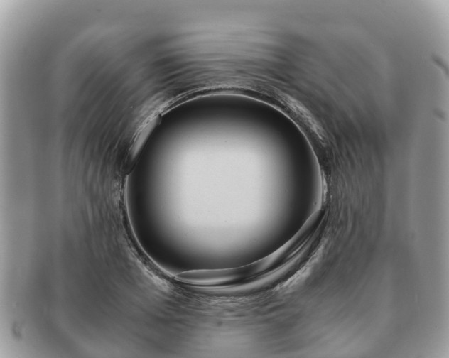 X0000091180985200708161515