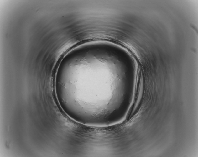 X0000091180987200708161514