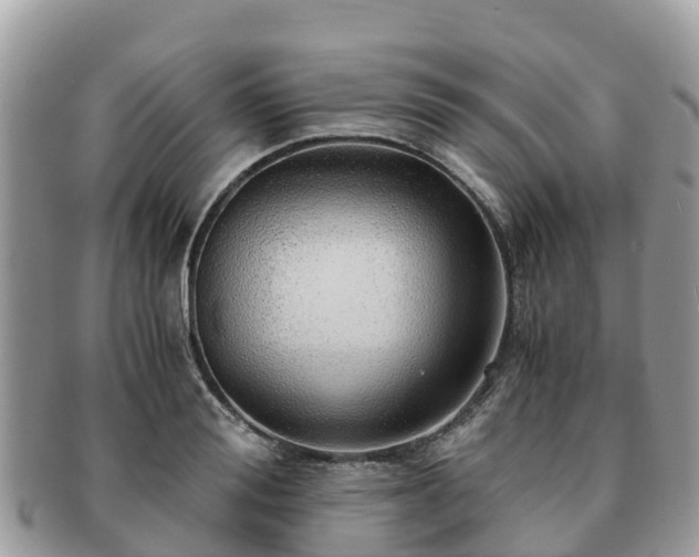 X0000091180988200708161514