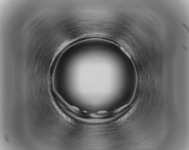 X0000091180989200708161514