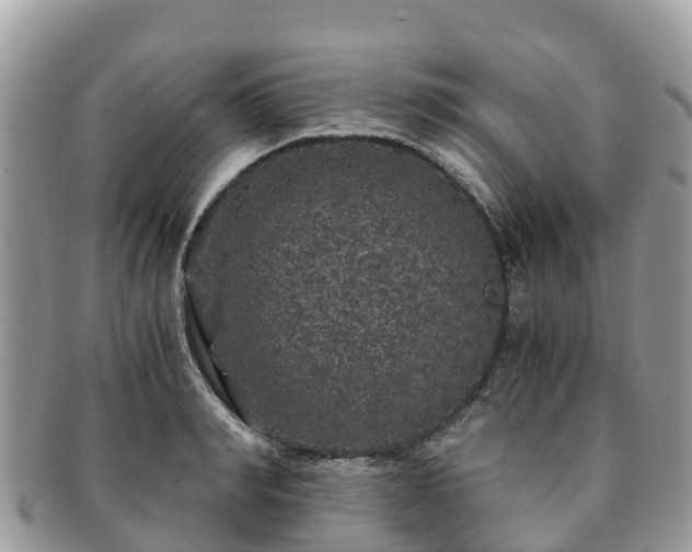X0000091180990200708161514