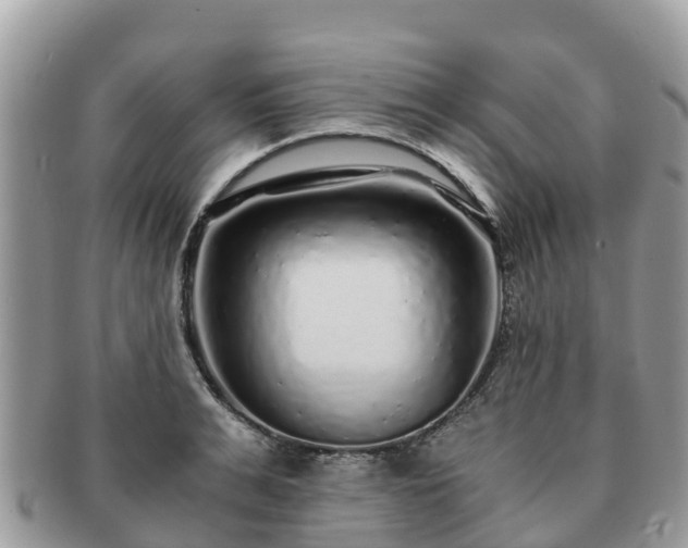 X0000091180991200708161514