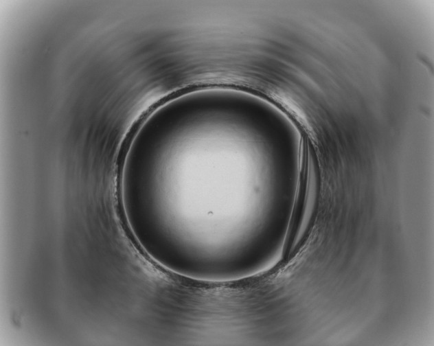 X0000091180992200708161514