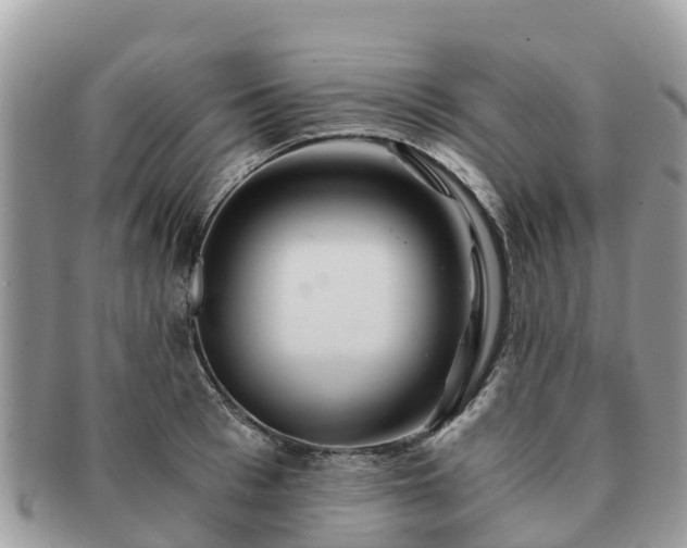 X0000091180993200708161514
