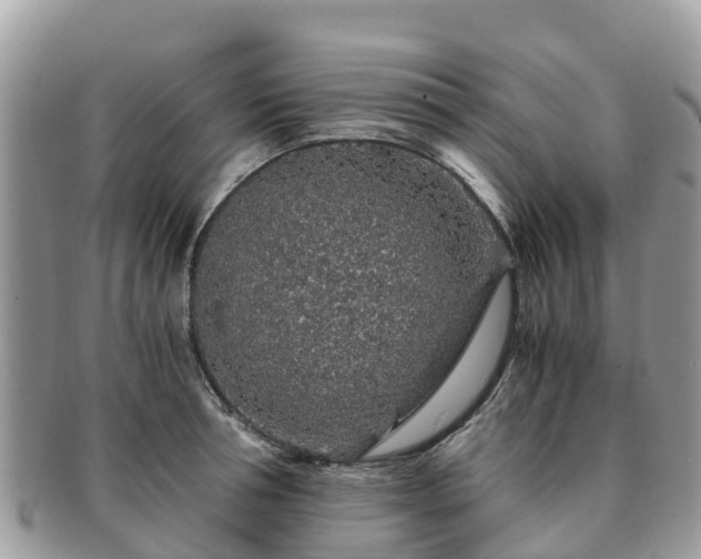 X0000091180994200708161514