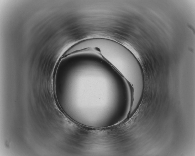 X0000091180996200708161514