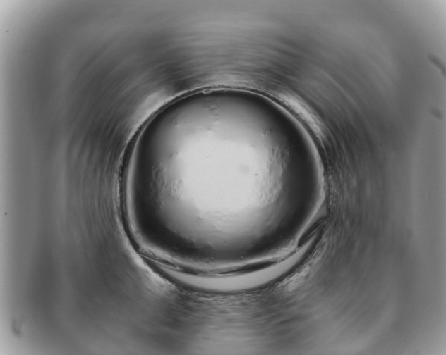 X0000091180999200708161514