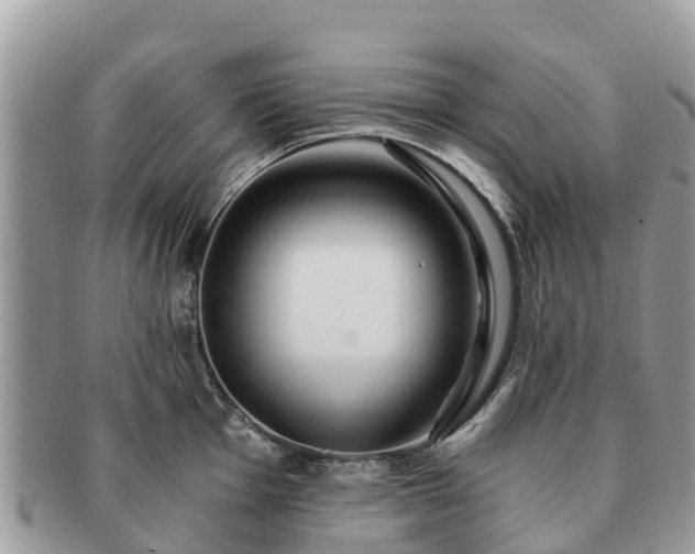 X0000091181001200708161514