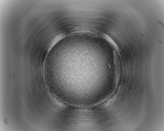 X0000091181002200708161514