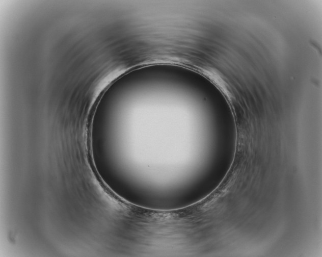 X0000091181003200708161514