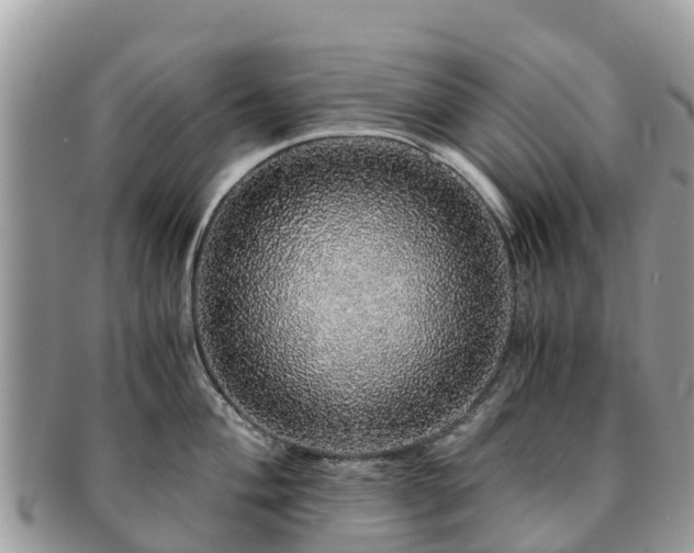 X0000091181004200708161514