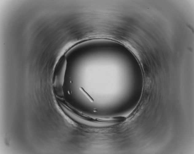 X0000091181005200708161514