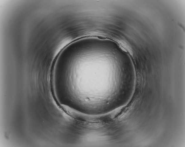 X0000091181007200708161514