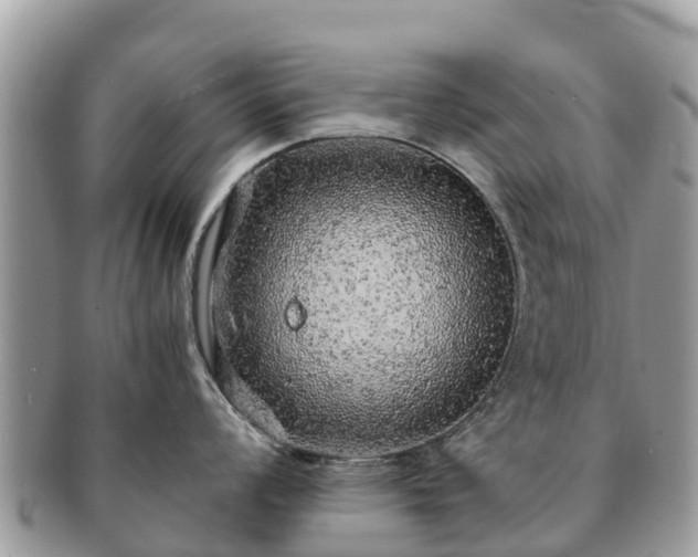 X0000091181008200708161514