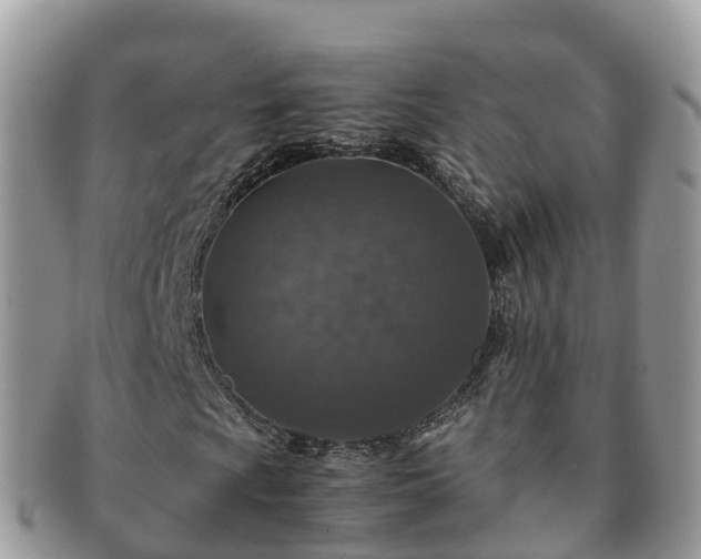 X0000091181009200708161514