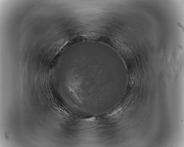 X0000091181010200708161514