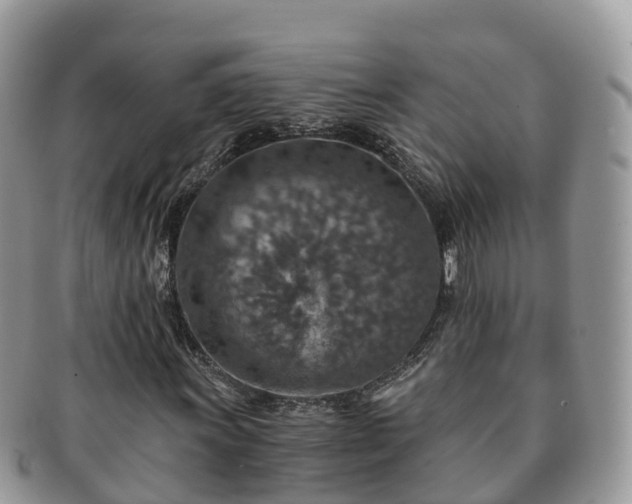 X0000091181011200708161514