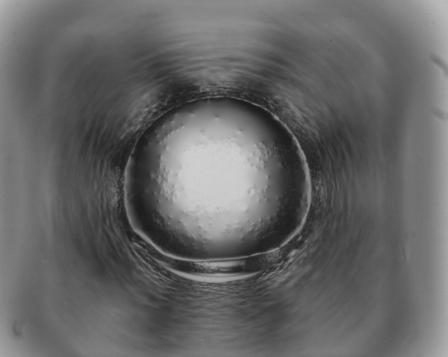 X0000091181012200708161514