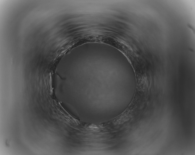 X0000091181013200708161514