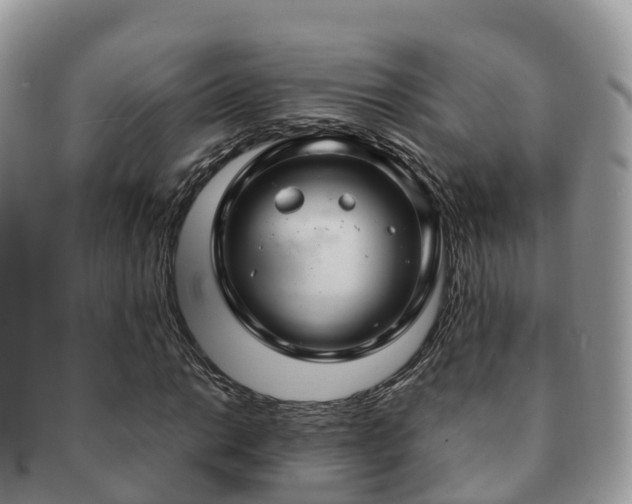 X0000091181014200708161514