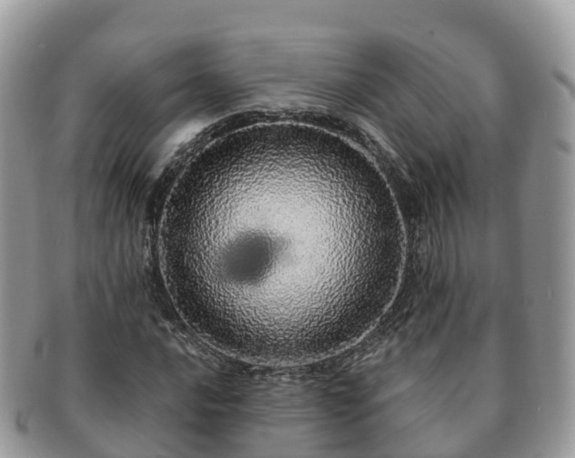 X0000091181016200708161514
