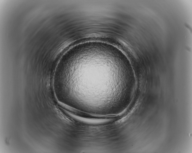 X0000091181017200708161514