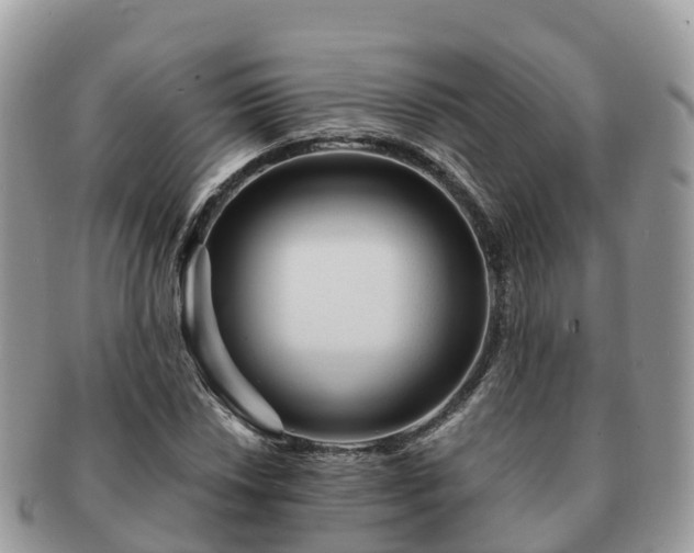 X0000091181018200708161514