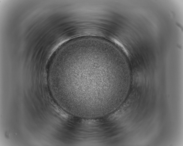 X0000091181019200708161514