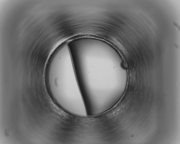 X0000091181020200708161514