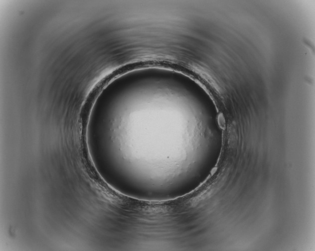 X0000091181021200708161514